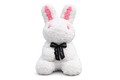 Forever Yours™ Rose Bunny